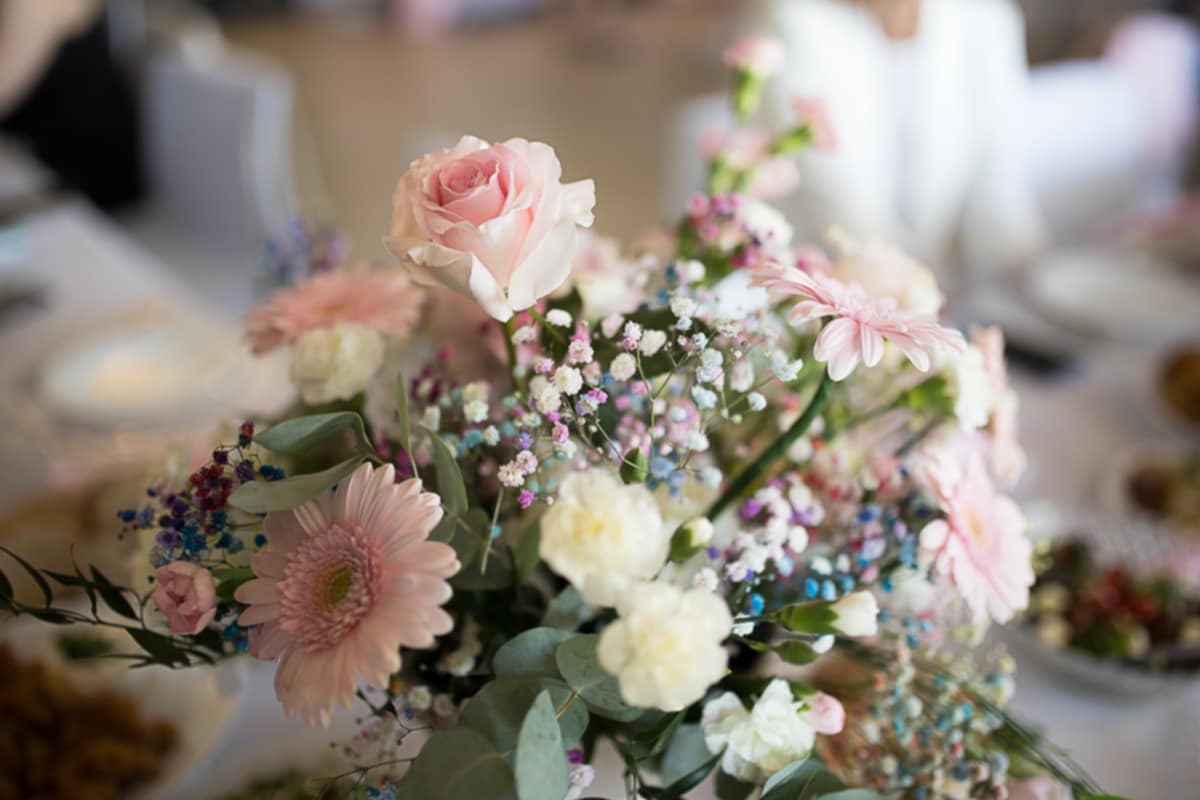 5b62dac7 27a1 47f0 87c0 0a99283a73aa